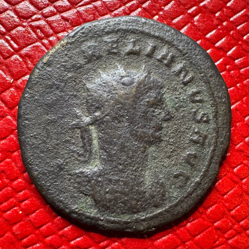 Aurelian Antoninianus, Aurelian Clasping Concordia's Hand, Cyzicus Mint
